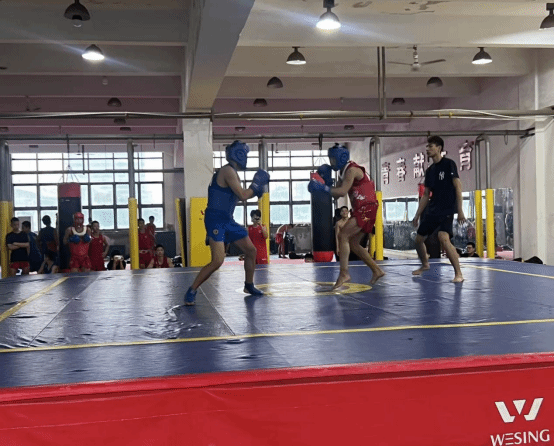 vsport体育荣耀图片