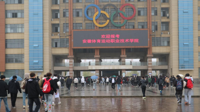 vsport体育激情图片