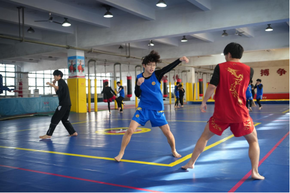 vsport体育杯赛图片