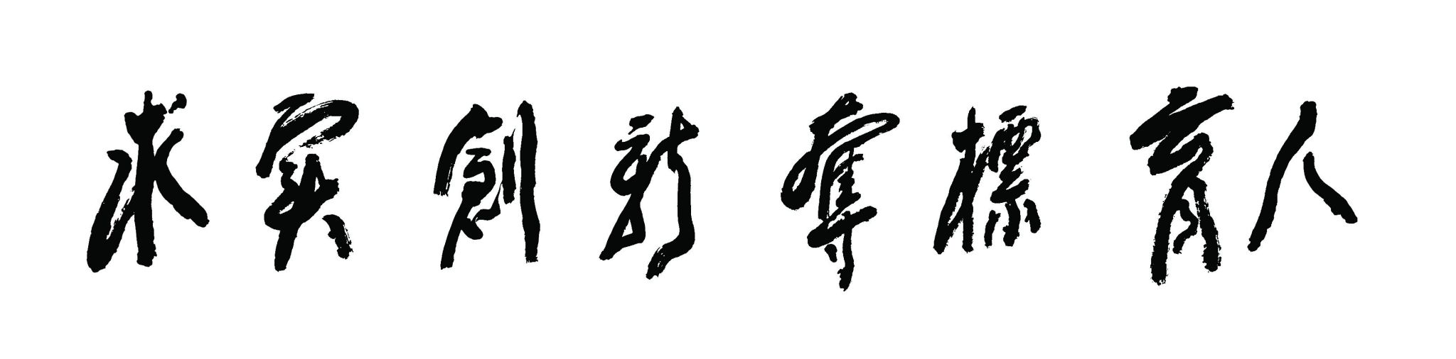 vsport体育激情图片