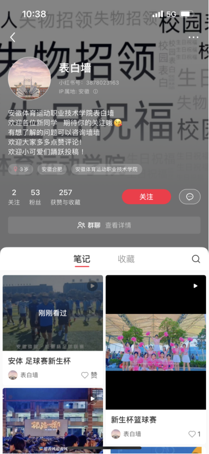vsport体育激情图片