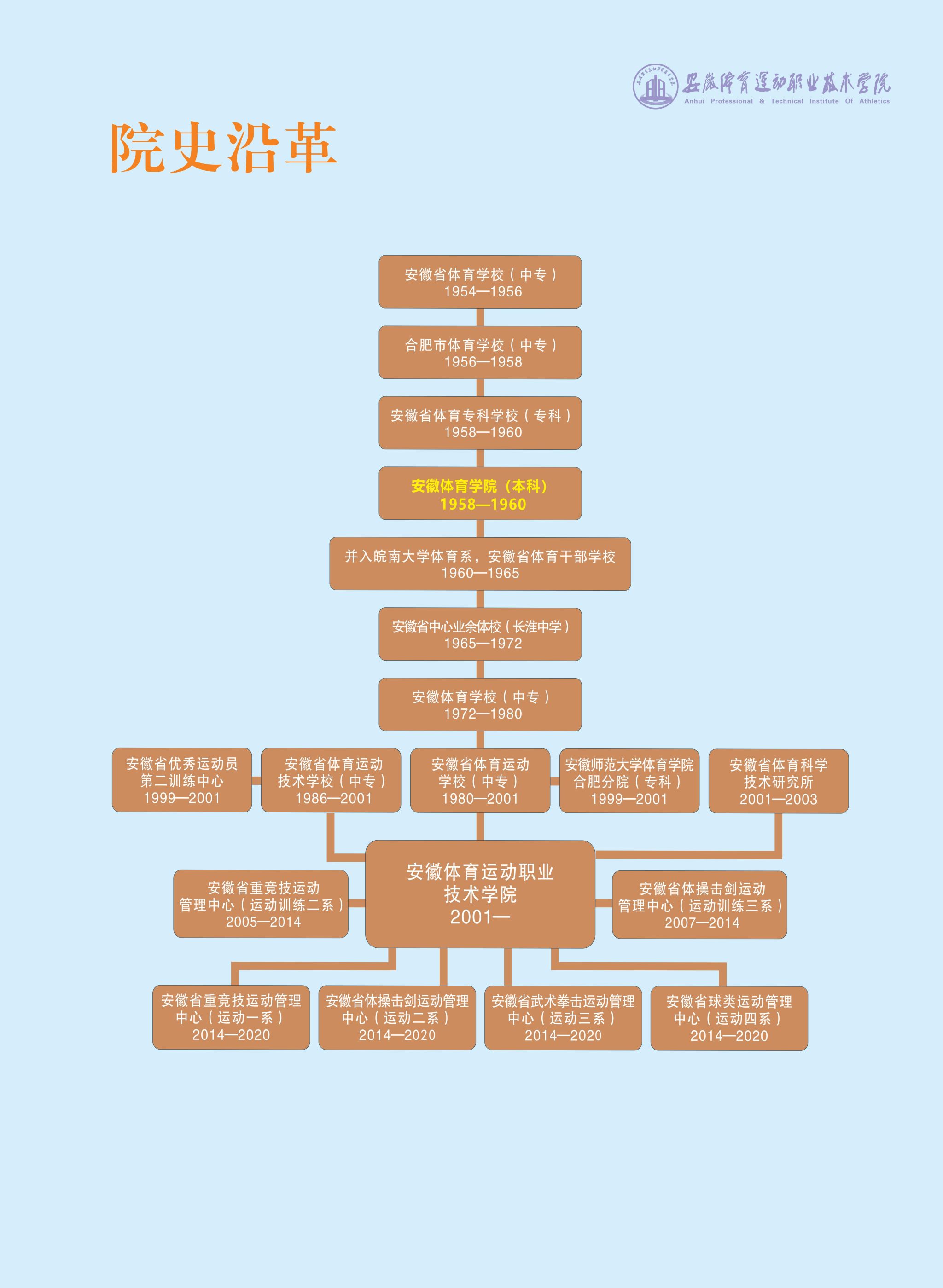 vsport体育激情图片